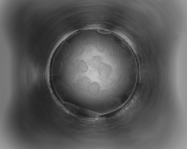 X0000100310949200806051453
