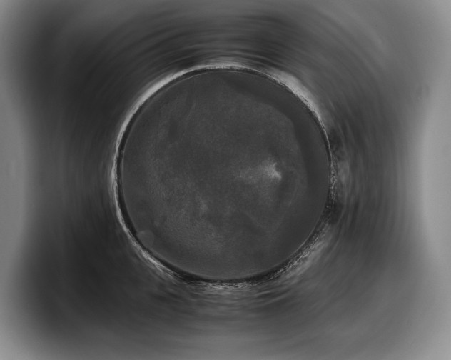 X0000100310951200806051453