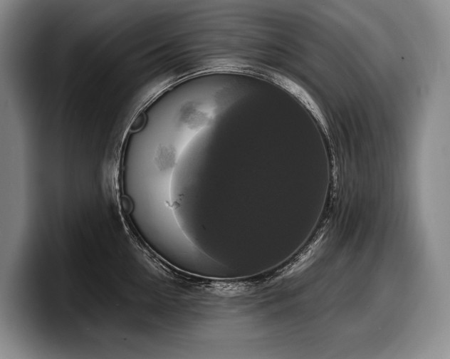 X0000100310954200806051453