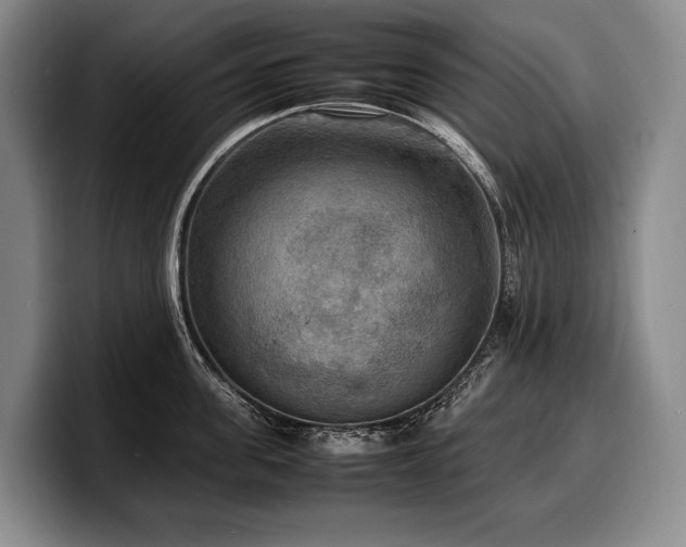 X0000100310955200806051453