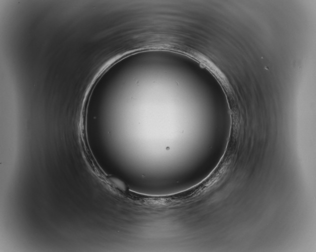 X0000100310956200806051453