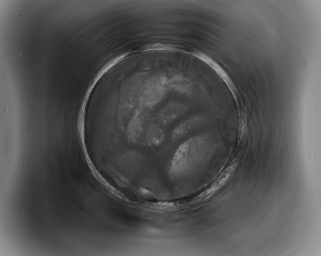 X0000100310957200806051453