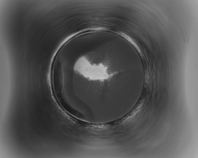 X0000100310959200806051453