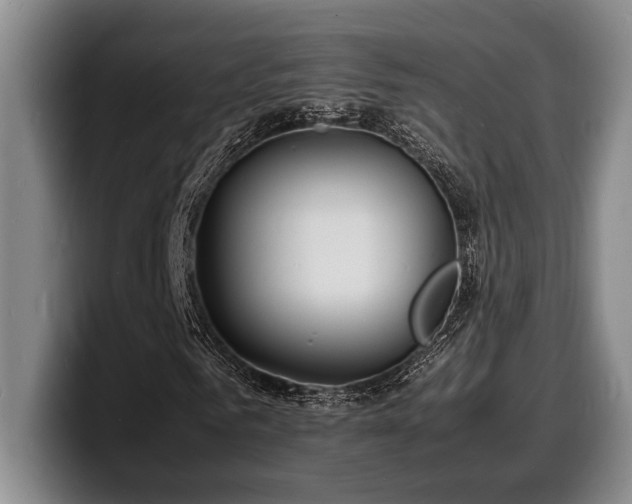 X0000100310961200806051452