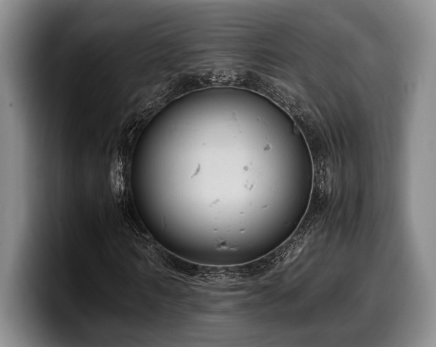 X0000100310962200806051452