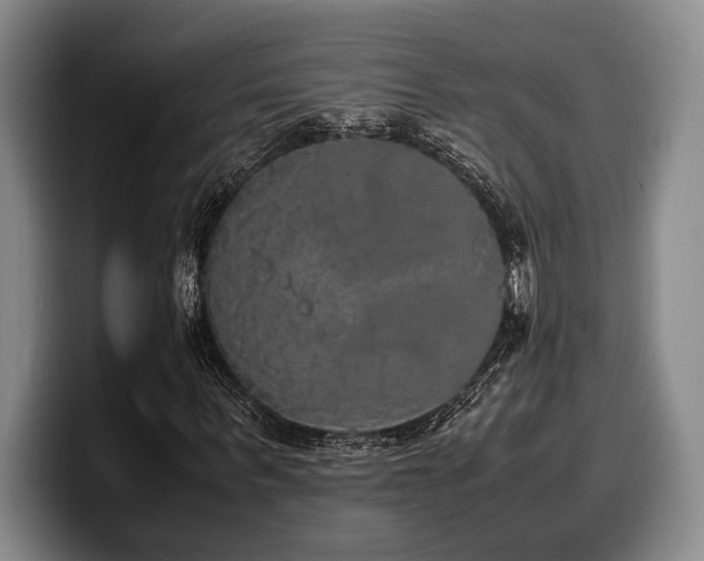 X0000100310963200806051452