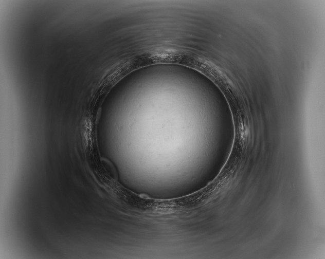 X0000100310964200806051452