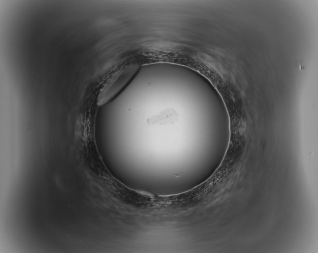 X0000100310965200806051452