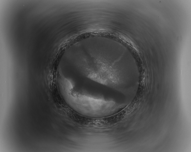 X0000100310966200806051452