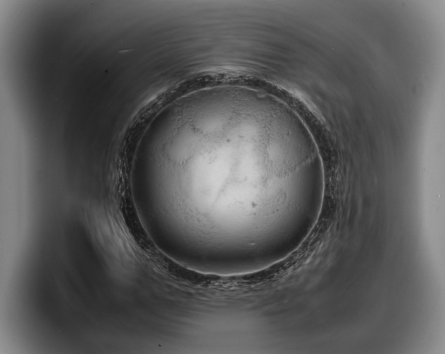 X0000100310967200806051452