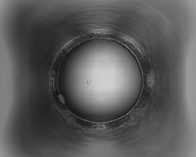 X0000100310968200806051452