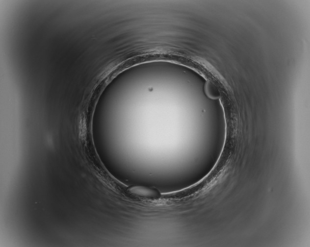 X0000100310969200806051452