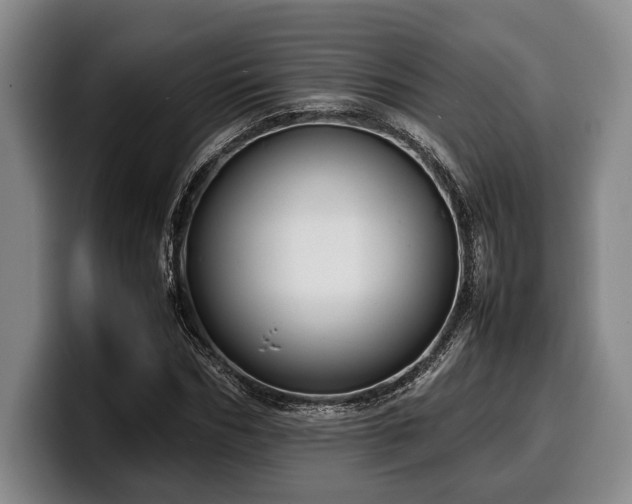 X0000100310970200806051452