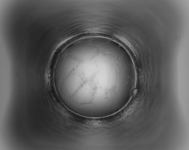 X0000100310971200806051452