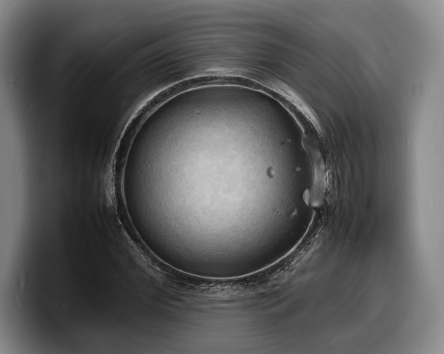 X0000100310972200806051452