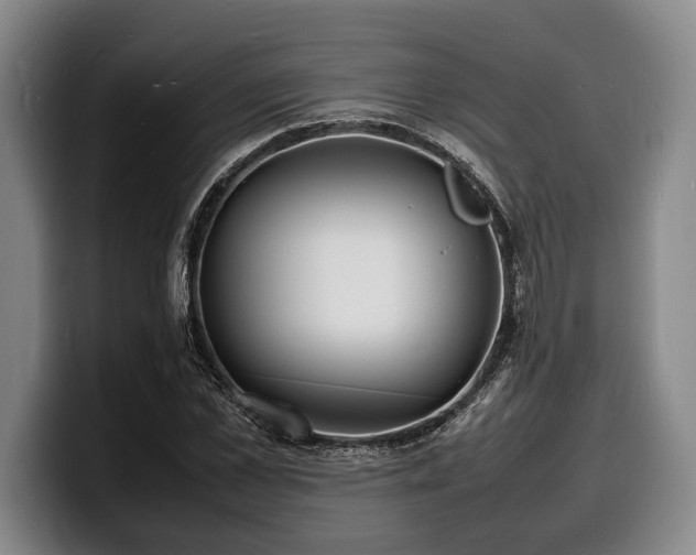 X0000100310973200806051452