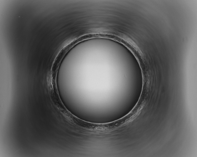 X0000100310974200806051452