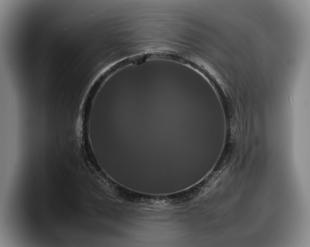 X0000100310975200806051452