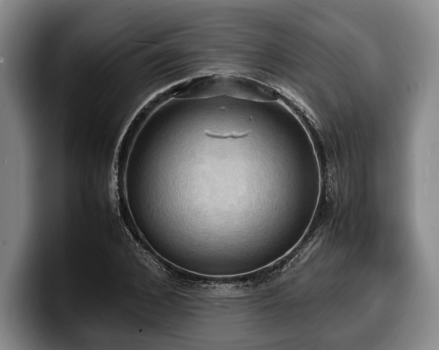 X0000100310976200806051452