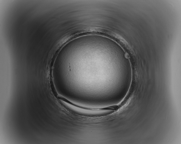 X0000100310977200806051452