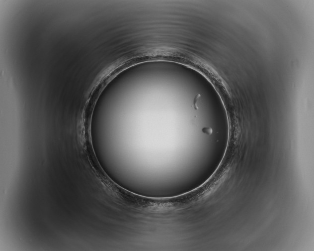 X0000100310978200806051452