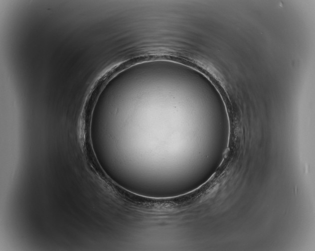 X0000100310979200806051452