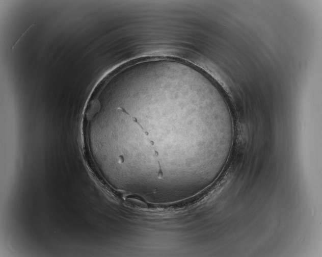 X0000100310980200806051452