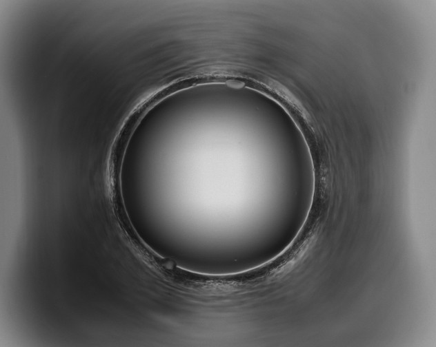 X0000100310981200806051452