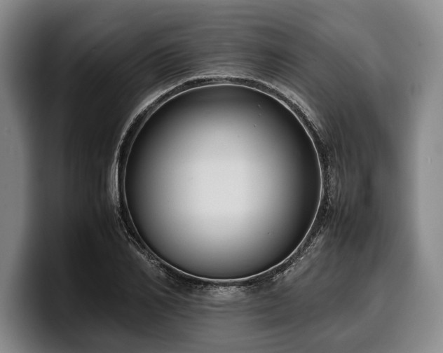 X0000100310982200806051452