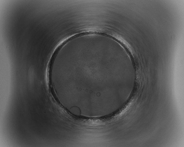 X0000100310983200806051452