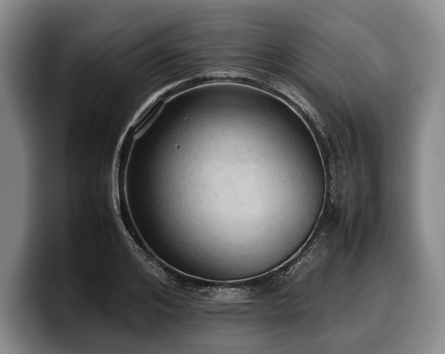 X0000100310984200806051452