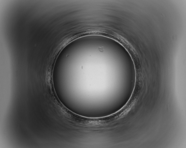 X0000100310985200806051452