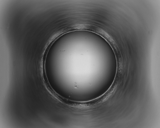 X0000100310986200806051452