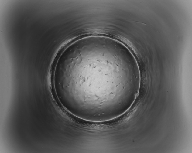 X0000100310987200806051452