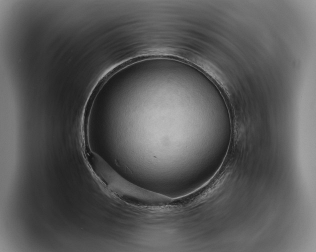 X0000100310988200806051452