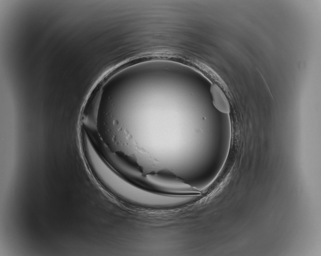 X0000100310989200806051452