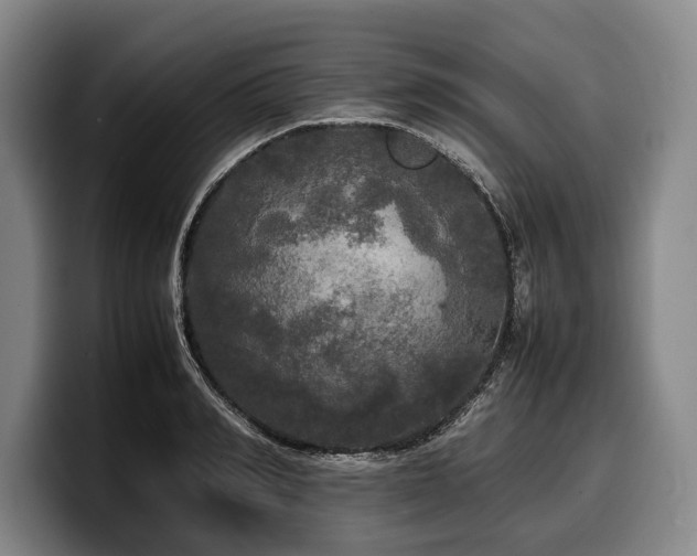 X0000100310990200806051452