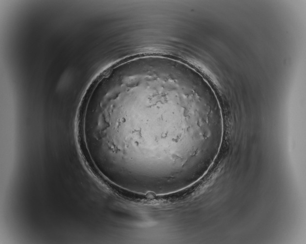 X0000100310991200806051452