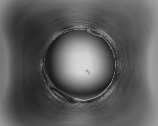 X0000100310993200806051452