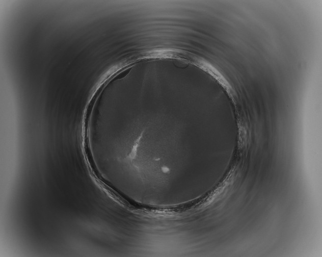 X0000100310994200806051452
