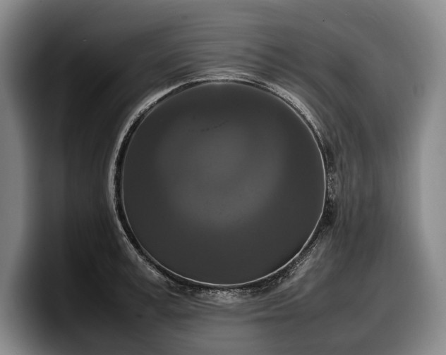 X0000100310995200806051452