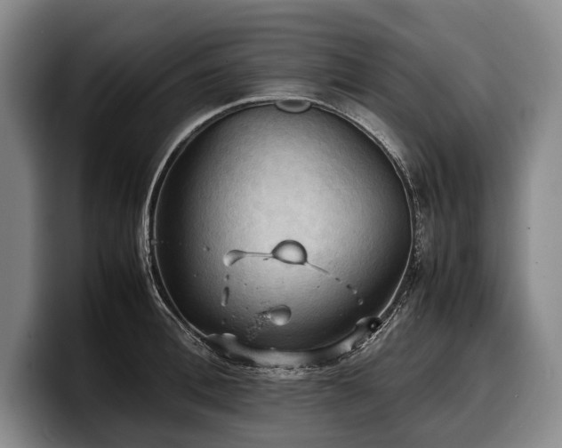 X0000100310996200806051452