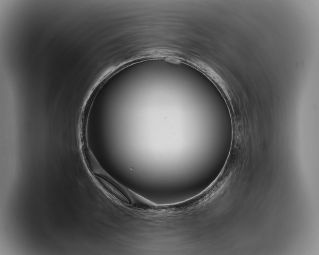 X0000100310997200806051452