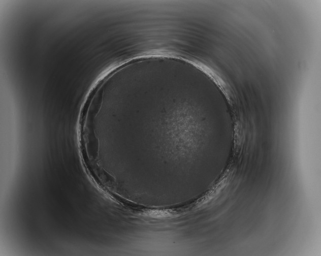 X0000100310998200806051452
