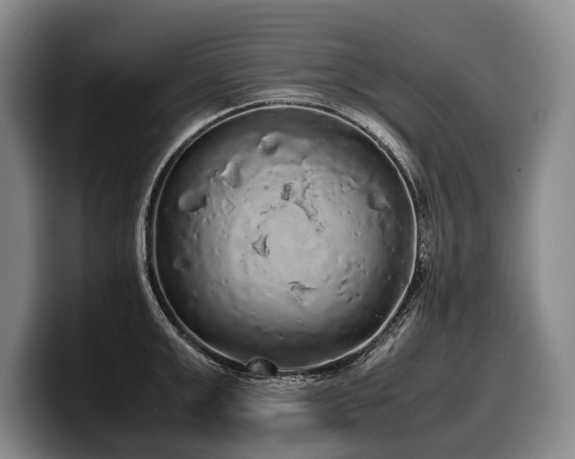 X0000100310999200806051452