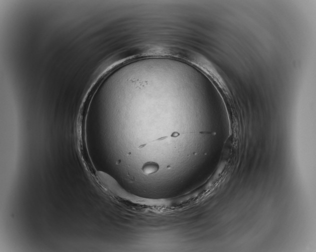 X0000100311000200806051452