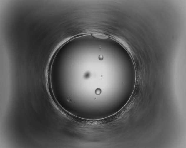 X0000100311003200806051452