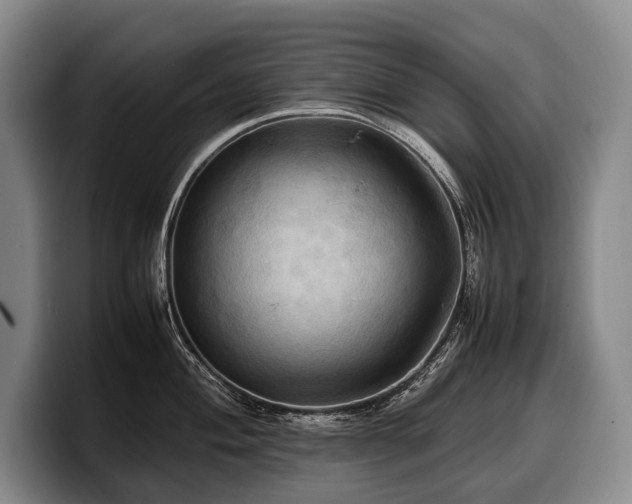 X0000100311004200806051452