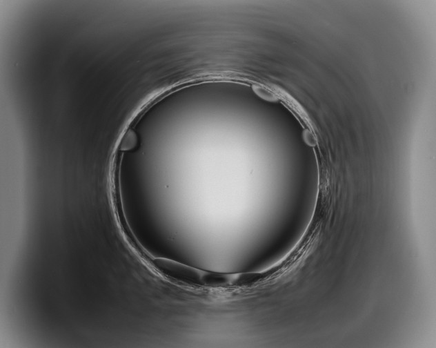 X0000100311005200806051452