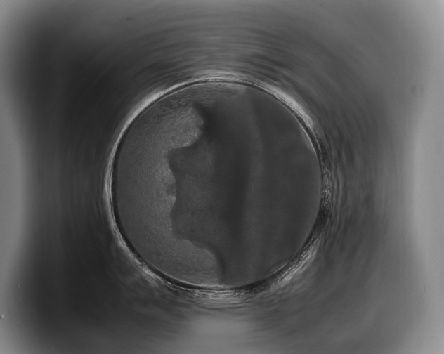X0000100311007200806051452